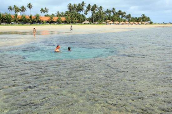 Casa Em Serrambi Com Piscina E Terraco Amplo Villa Pôrto das Galinhas Kültér fotó